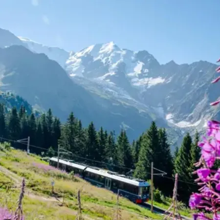Le Luxe Sur Les Pistes Apartment *