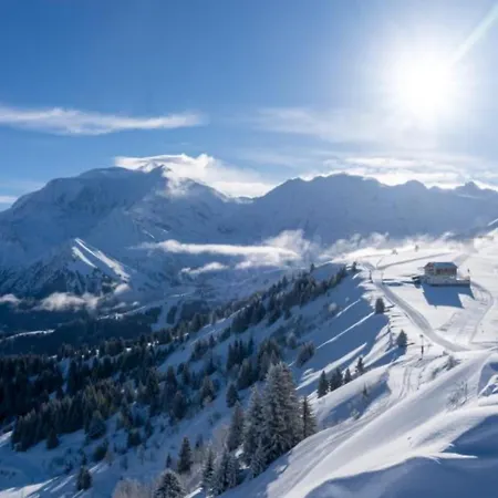 Le Luxe Sur Les Pistes 公寓 圣热尔韦莱班